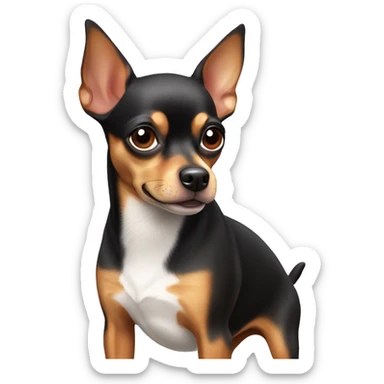 cute chihuahua mini pinscher dog sticker