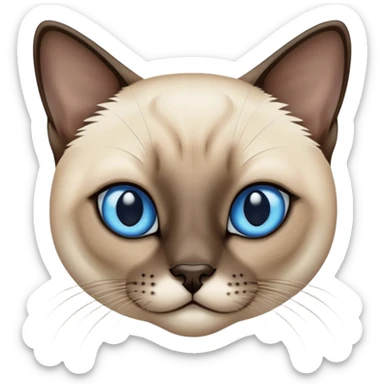 Siamese cat with short hair sticker