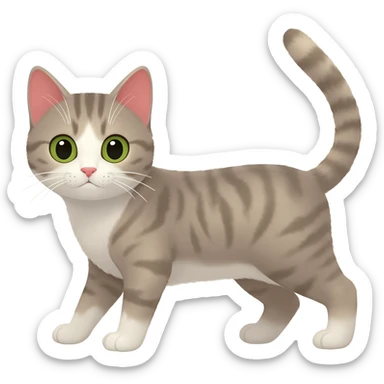 cat sticker