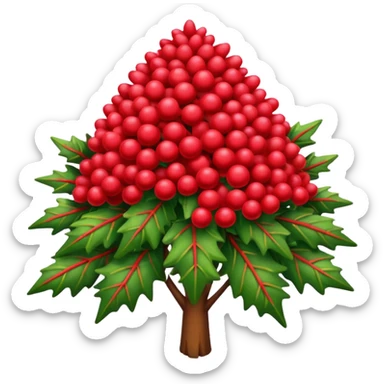 Australian Christmas bush sticker