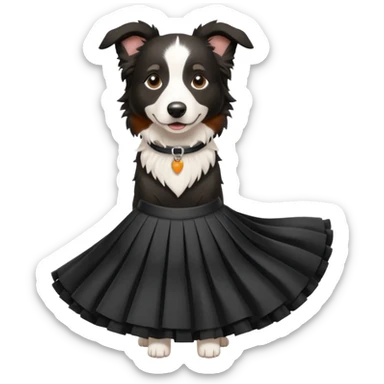 berger australien noir et blanc avec une jupe sticker