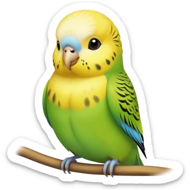 Periquito australiano  sticker