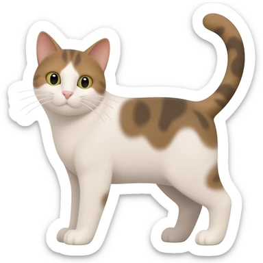 Котика sticker