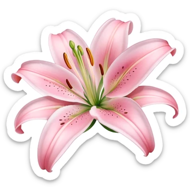 light pink lilium sticker
