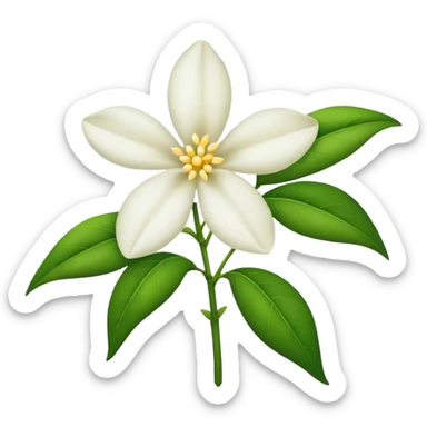 Jasmin flower  sticker