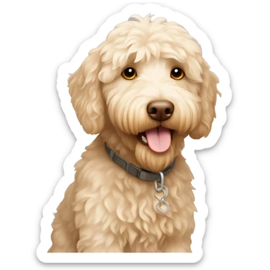 Cream colored Australian labradoodle sticker
