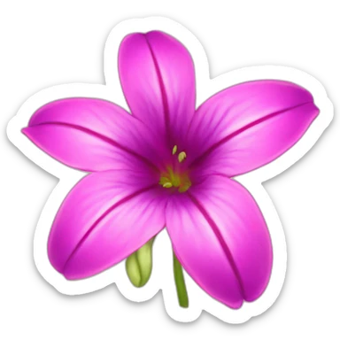 stargazer flower sticker