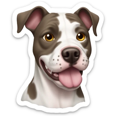 Merle pit bull  sticker
