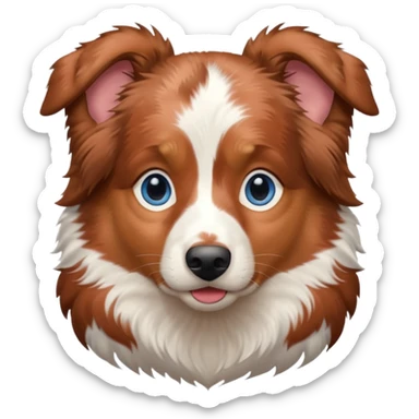 Red merle australian shepherd with blue eyes sticker