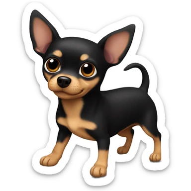 Black chihuahua mixed with wiener dog, black everything but white chest and paws, brown hazel eyes. sticker