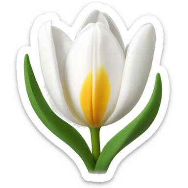 whit tulip sticker
