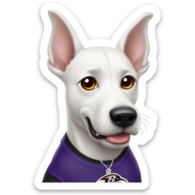 White dog with pointy ears and Baltimore Ravens  sticker