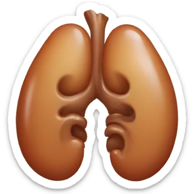 Kidney emoji sticker