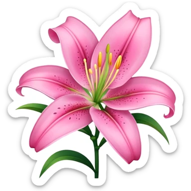 pink lily sticker
