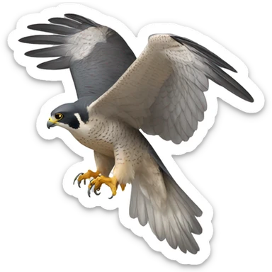 peregrine falcon wings spread front view sticker