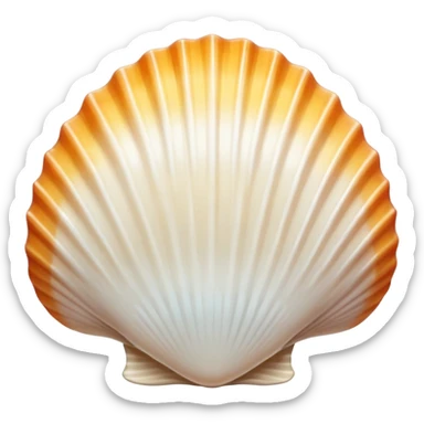 pretty white beach shell sticker