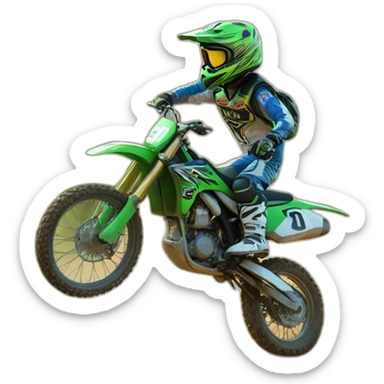 Turtle on motocross sticker