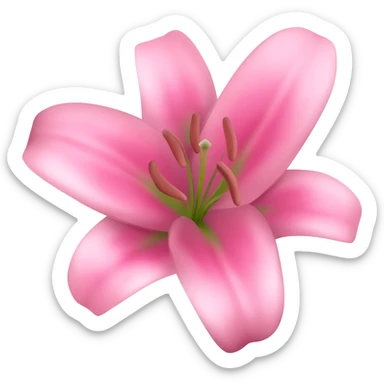 the original pink lily sticker