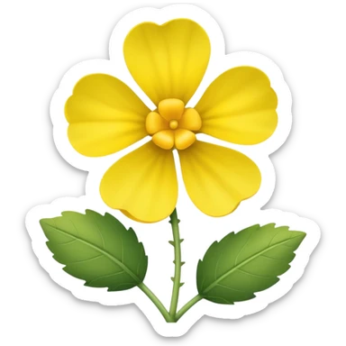 Canola sticker