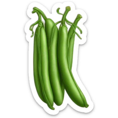 Green beans with potato sticker