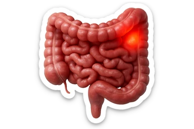 CISTIFELLEA E INTESTINO SONO COLLEGATI NEL DOLORE, SENZA SCRITTE E L'INTESTINO FALLO PERFETTO E REALISTICO, NON DISEGNATO iperrealistico 4k sticker