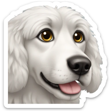 Black-and-white-dog-fluffy-black-eye-spot-on-one-eye sticker