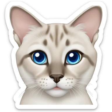lynx point siamese blue eyes sticker