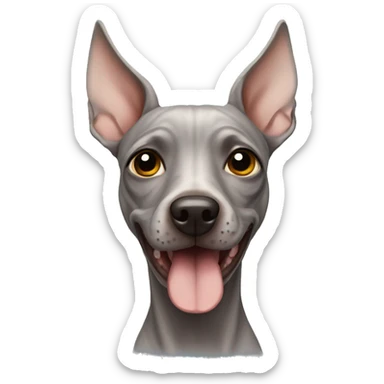 American Hairless Terrier sticker