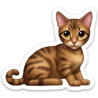 Beautiful woman long dark brown hair hug bengal cat sticker