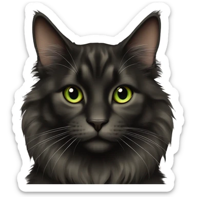 Black Maine coon cat with greenish brown eyes sticker