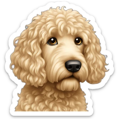 Femme blonde yeux bleu porte Labradoodle blond sticker