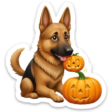 German Shepard eating pumpkin  sticker