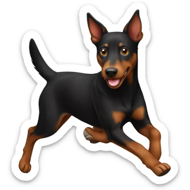 red Australian kelpie running sticker