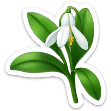 snowdrop  sticker