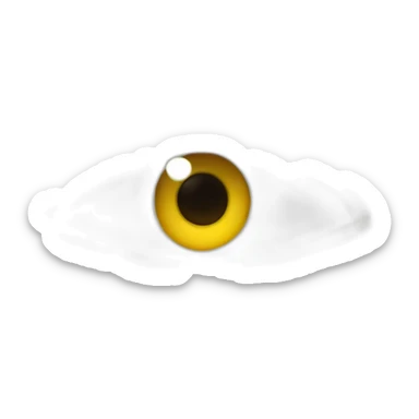 plisse les yeux sticker