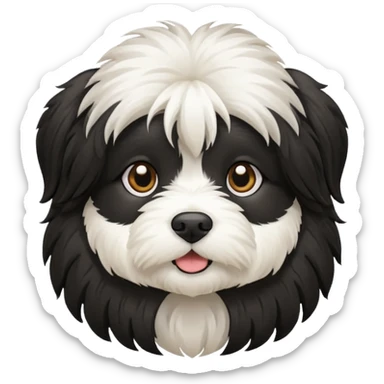 Black and white Havanese dog sticker
