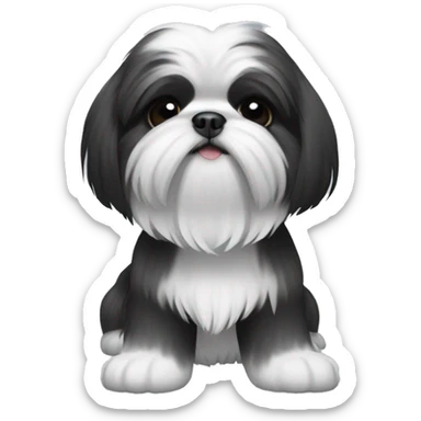 2 shi tzu, one all black, one black and white sticker