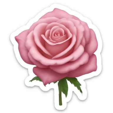 Un estomac rose sticker
