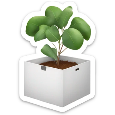 eucalyptus inside white box  sticker