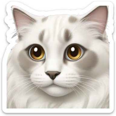 A ragdoll cat who’s white and creme of color with white paws sticker