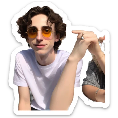 timothée chalamet at coachella sticker