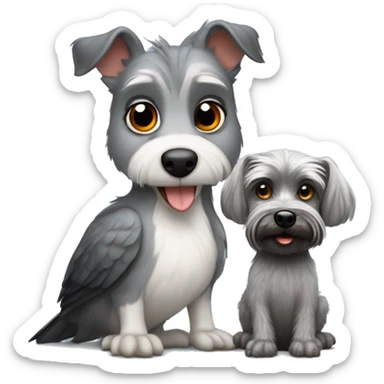 Kookaburra with a grey miniature Schnauzer dog  sticker