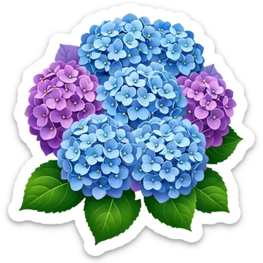 Hydrangeas sticker