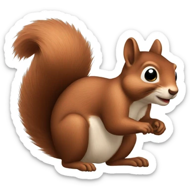 Squirrel  sticker