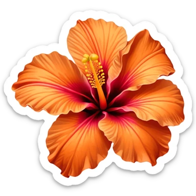 orange hibiscus flower sticker