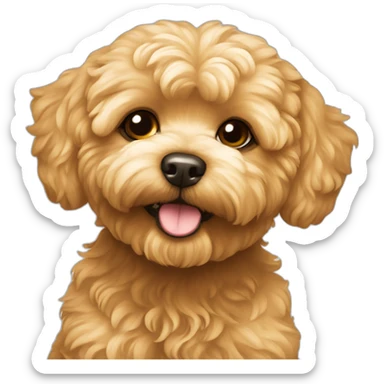 golden maltipoo sticker
