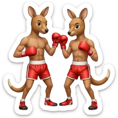 Kangaroo boxer sticker