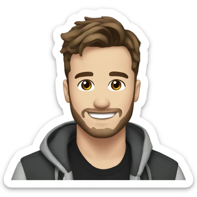 liam payne sticker