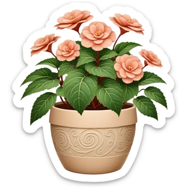 Begonia Rex in a beige pot with spiral pattern leaves sticker