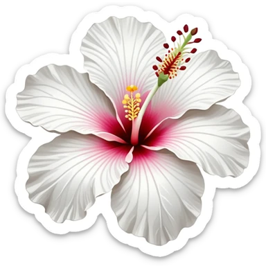 white hibiscus  sticker
